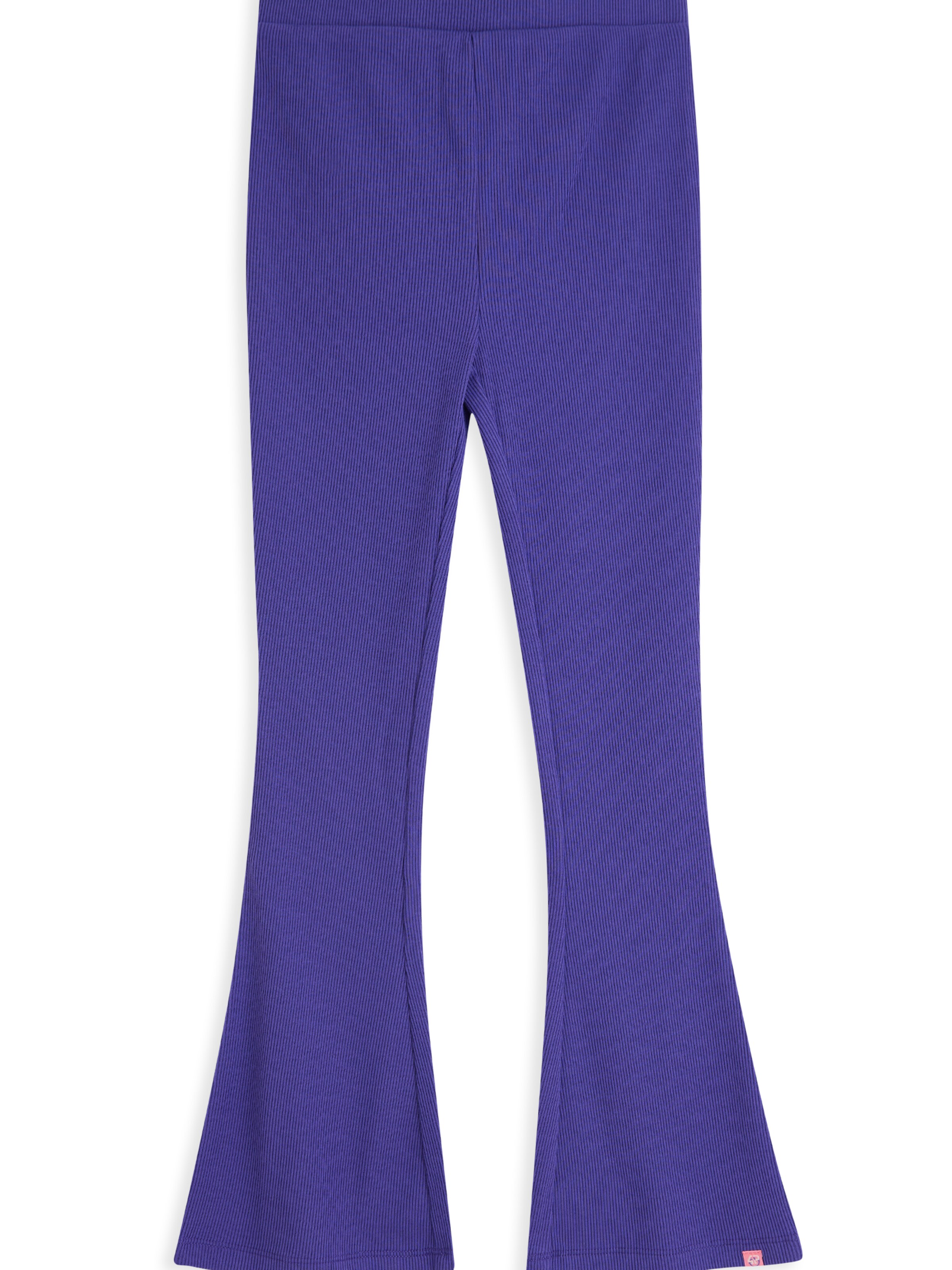 4PRESIDENT Skinny Pants 'Roxy' in Purple: front