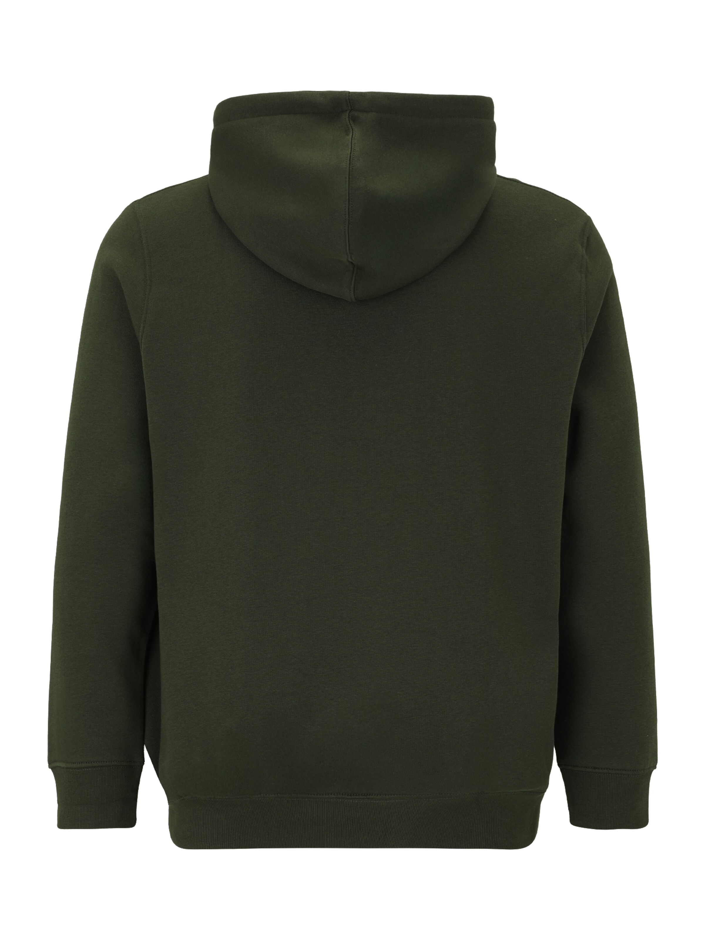 Jack & Jones Plus Bluzka sportowa 'JJEStar' w kolorze zielony