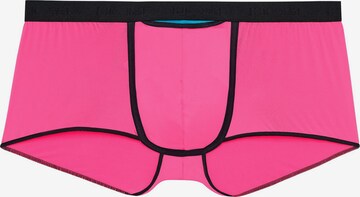 HOM Boxer shorts 'Plume Up' in Pink: front