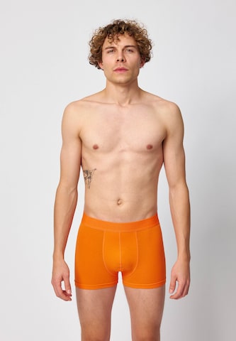 SNOCKS Boxershorts in Orange