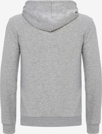 Redbridge Zip-Up Hoodie 'New Haven' in Grey