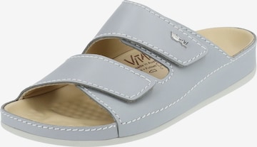 Mule vital en gris : devant