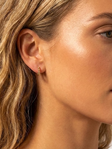 Kamiko Earrings 'JOANA' in Gold: front