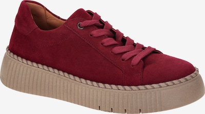 GABOR Schnürschuh in rot, Produktansicht