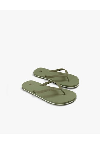 Scalpers Sandali | zelena barva