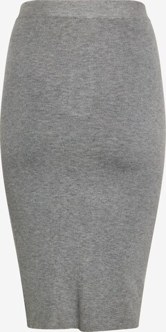 faina Skirt in Grey