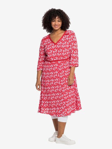 sheego by Joe Browns Dress in Red: front