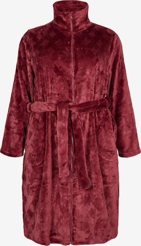 Robe de chambre Zizzi en rouge : devant