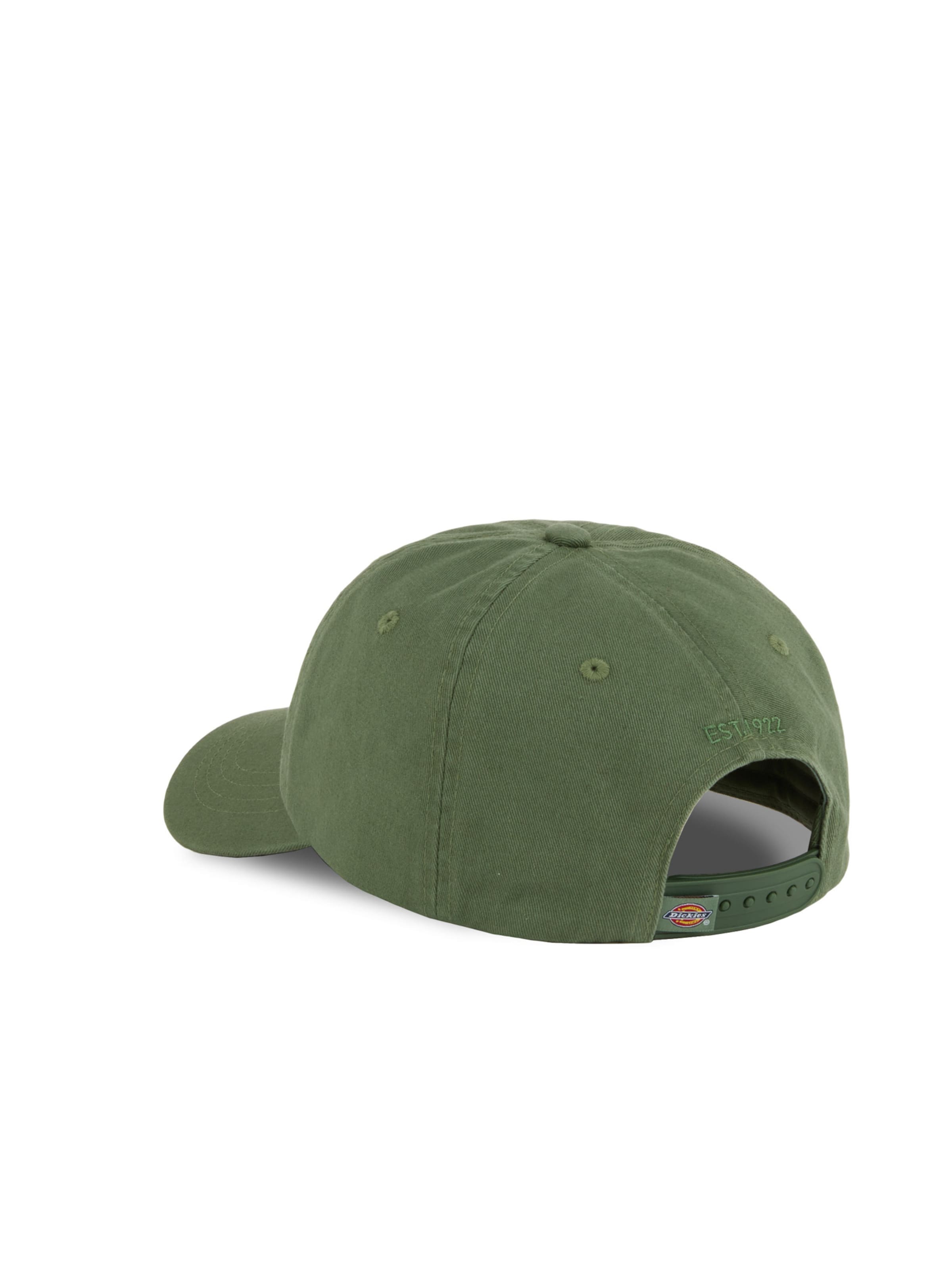 DICKIES Cap 'Hardwick' in Green