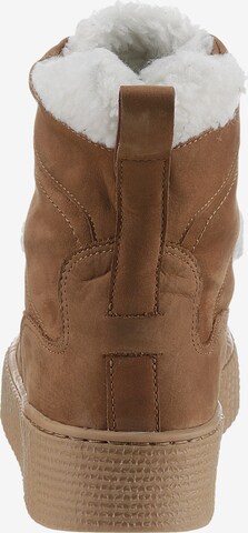 TOMMY HILFIGER Lace-Up Ankle Boots 'Essential' in Brown