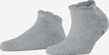 FALKE Füßlinge 'Soft Elegance' in Grau: Vorderseite