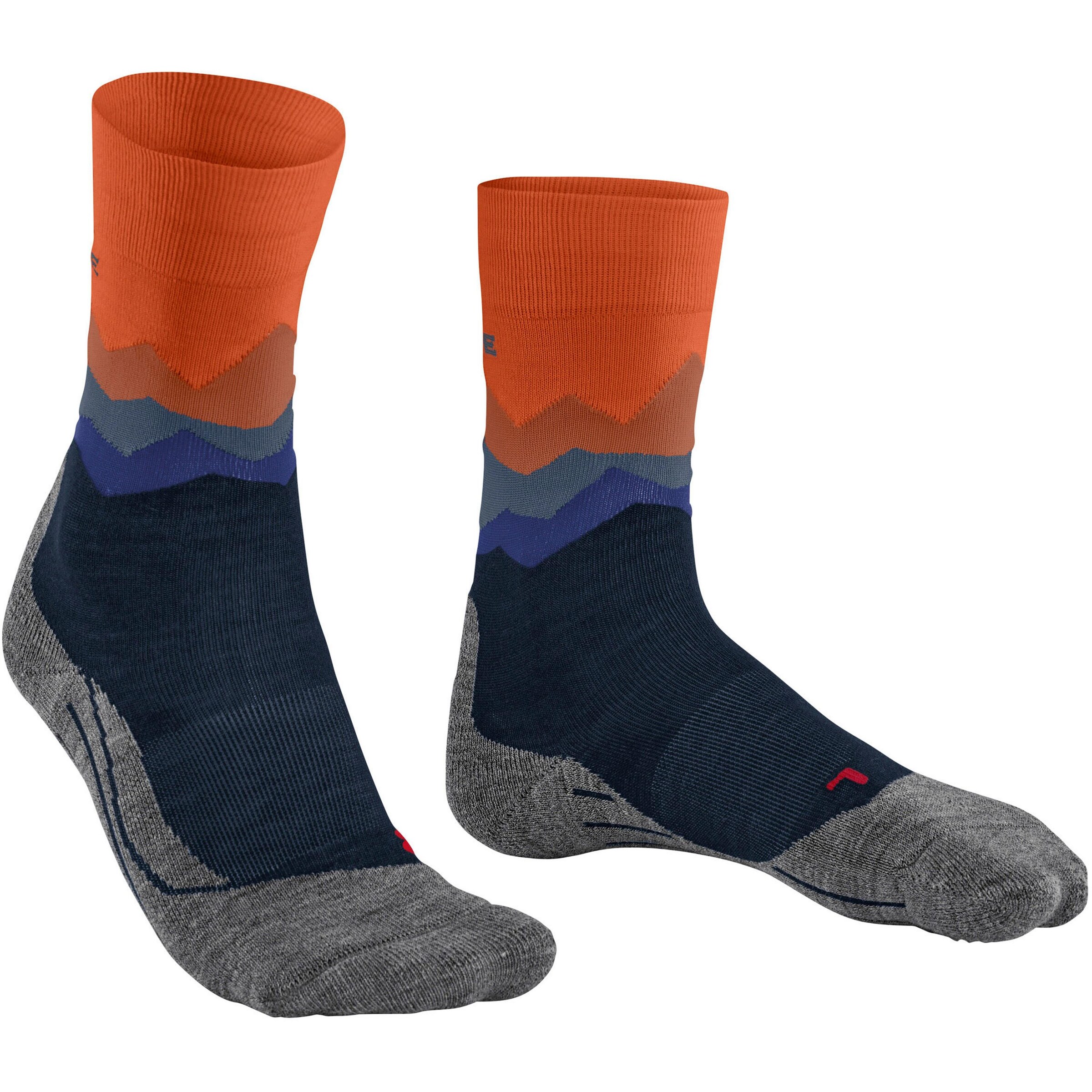 FALKE Athletic Socks 'TK2 Crest' in Mixed colors