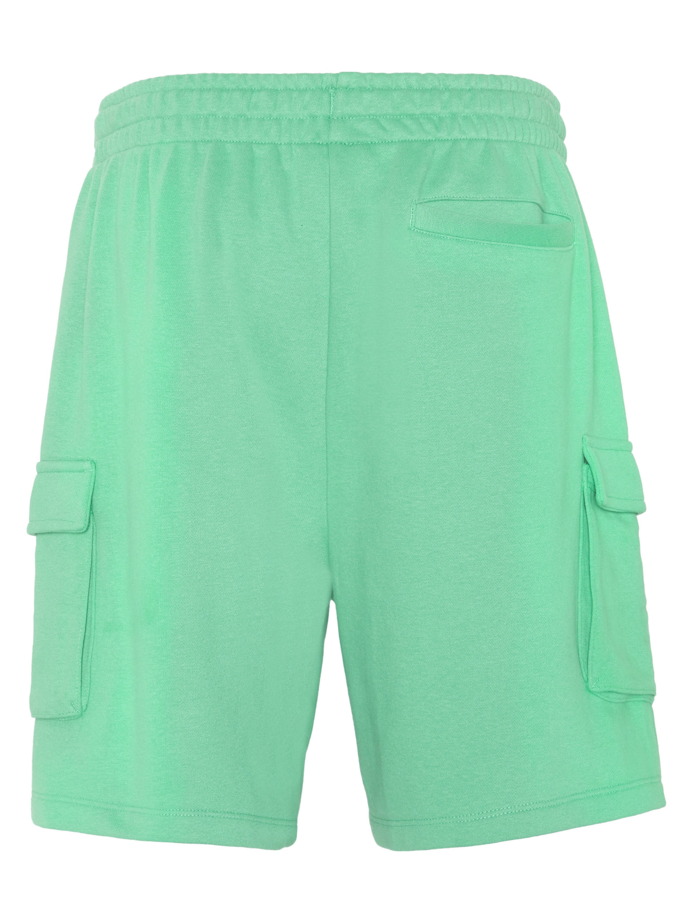 CHIEMSEE Regular Pants in Green