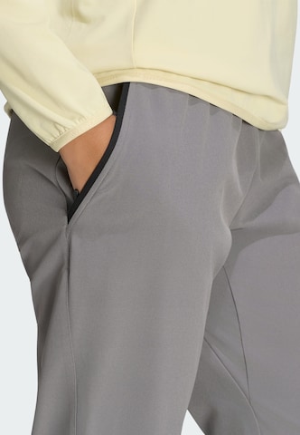 Regular Pantalon outdoor 'Liteflex' ADIDAS TERREX en gris