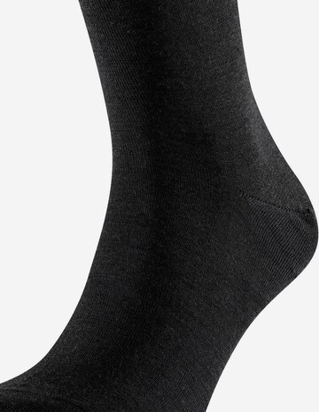 FALKE Socks in Grey