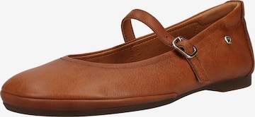 Ballerina con cinturino di PIKOLINOS in marrone: frontale