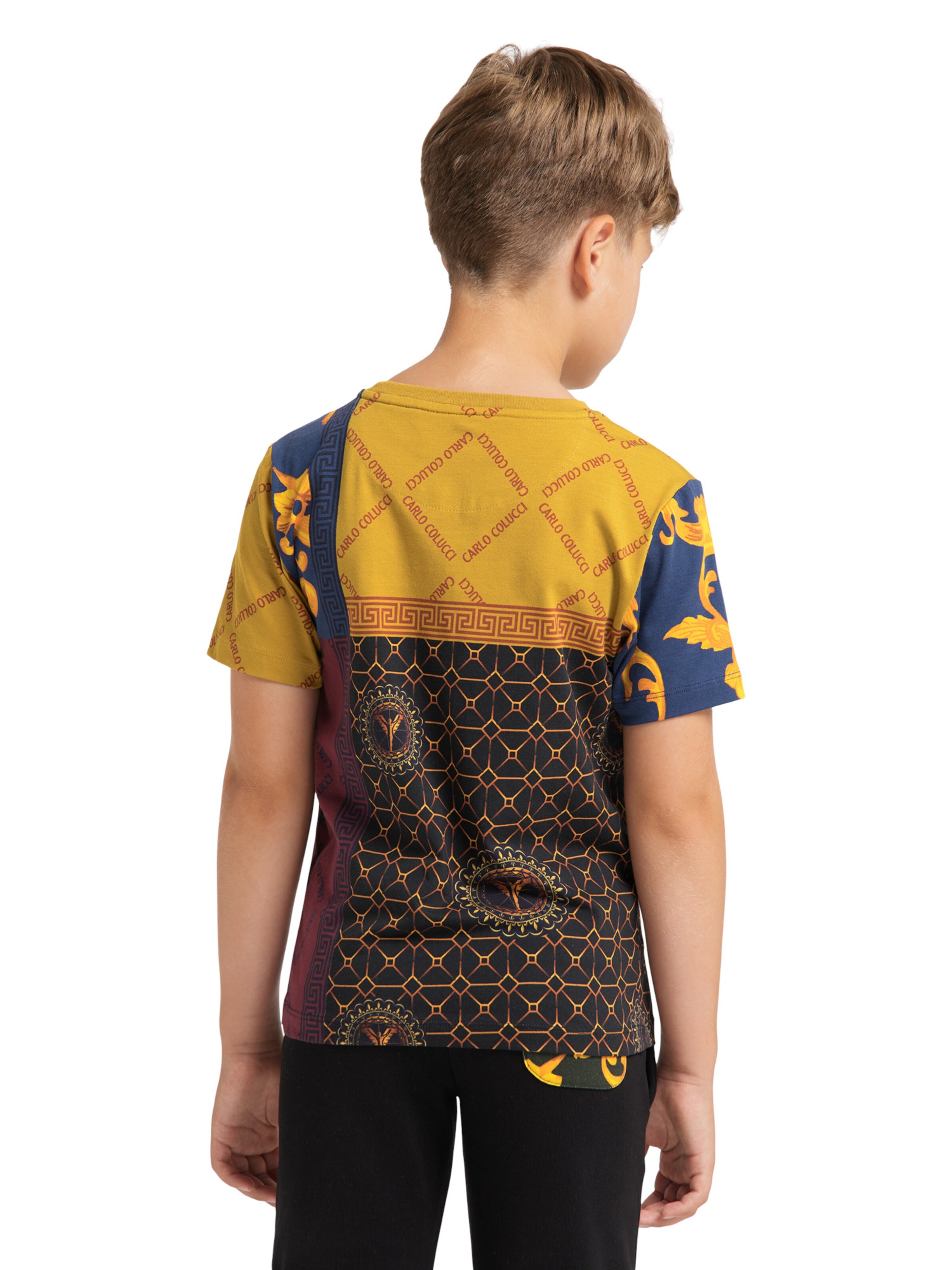 Carlo Colucci T-Shirt 'Capozzi' in Mischfarben