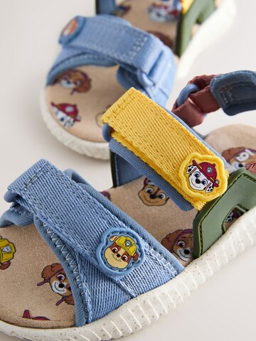 Next Open schoenen 'Paw Patrol' in Blauw