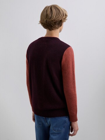 Scalpers Pullover in Braun