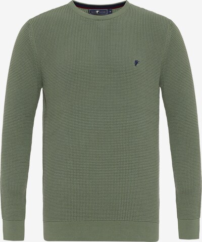 DENIM CULTURE Sweater 'Aljamain' in Green, Item view
