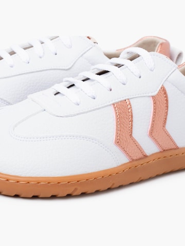 Pisamonas Sneakers in Bruin