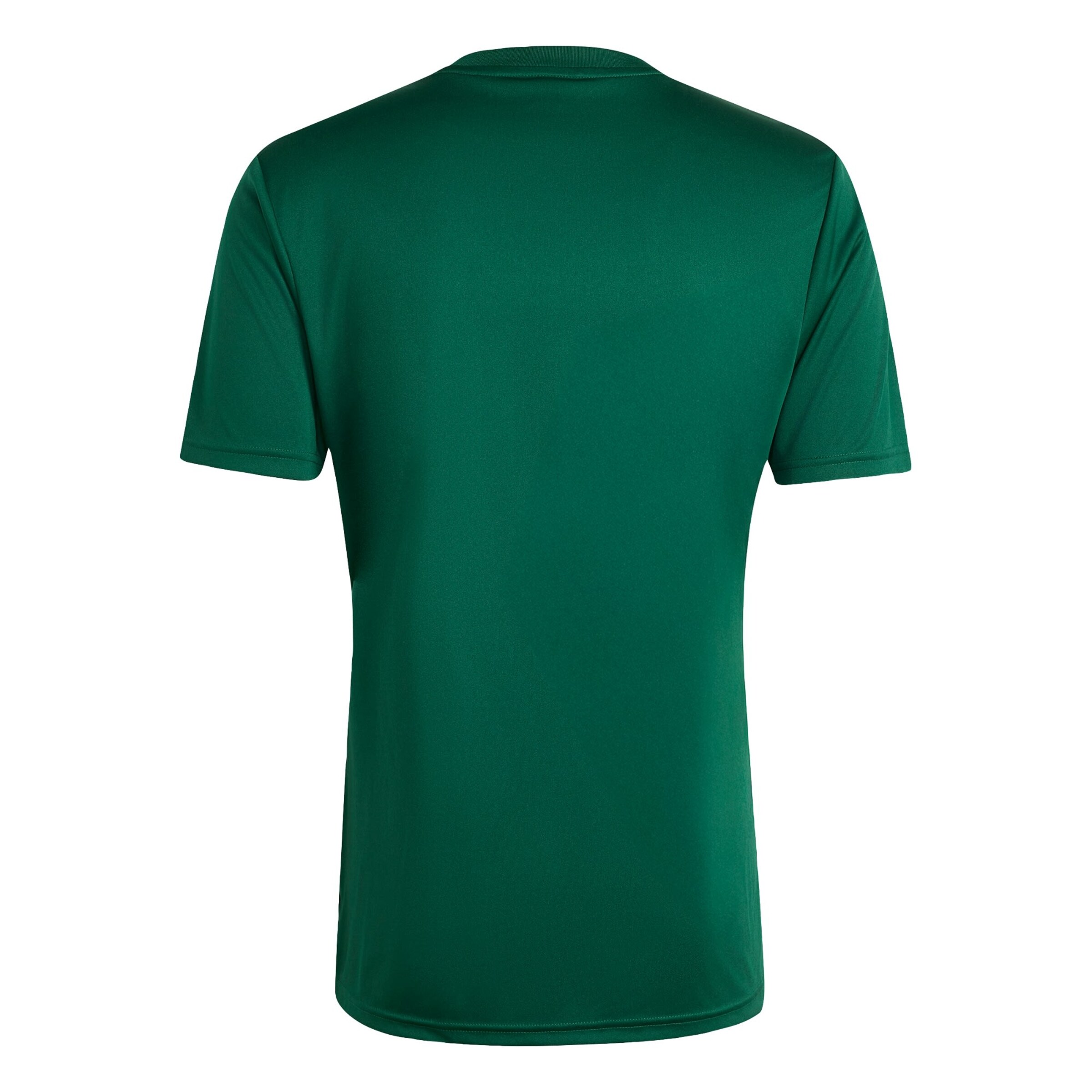 Maillot 'FIFA Fussball-Weltmeisterschaft 26™ Mexiko' ADIDAS PERFORMANCE en vert
