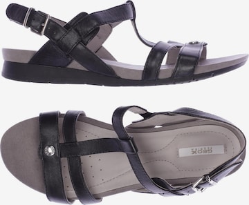 GEOX Sandals & High-Heeled Sandals in 36 in Black: front