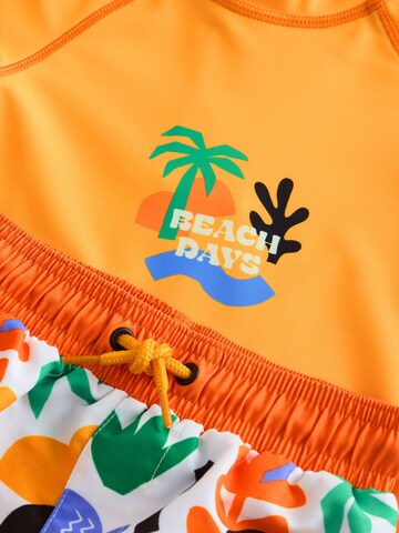 Next - Conjunto en Mezcla de colores