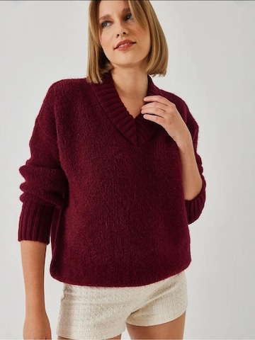 Bianco Lucci Kampsun 'Pullover', värv punane