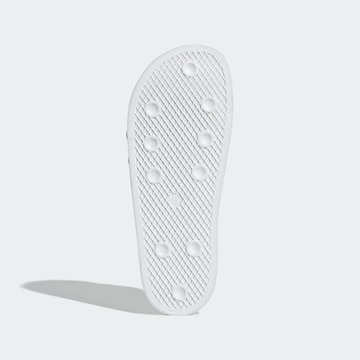 ADIDAS ORIGINALS Pantofle 'Adilette' – mix barev