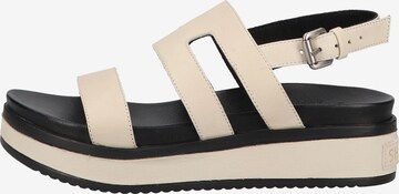 SHABBIES AMSTERDAM Sandale in Beige