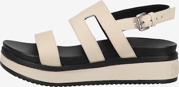 SHABBIES AMSTERDAM Strap Sandals in Beige