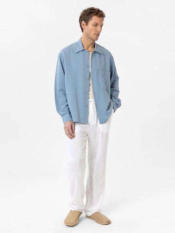 Antioch Regular fit Button Up Shirt 'Ash' in Blue