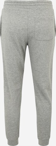 Effilé Pantalon CONVERSE en gris