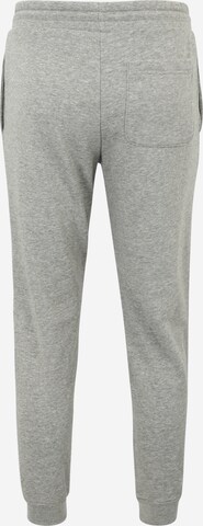 CONVERSE - Tapered Pantalón en gris