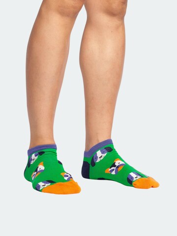 DillySocks Socks 'Short Fluffy Weather' in Mixed colours: front