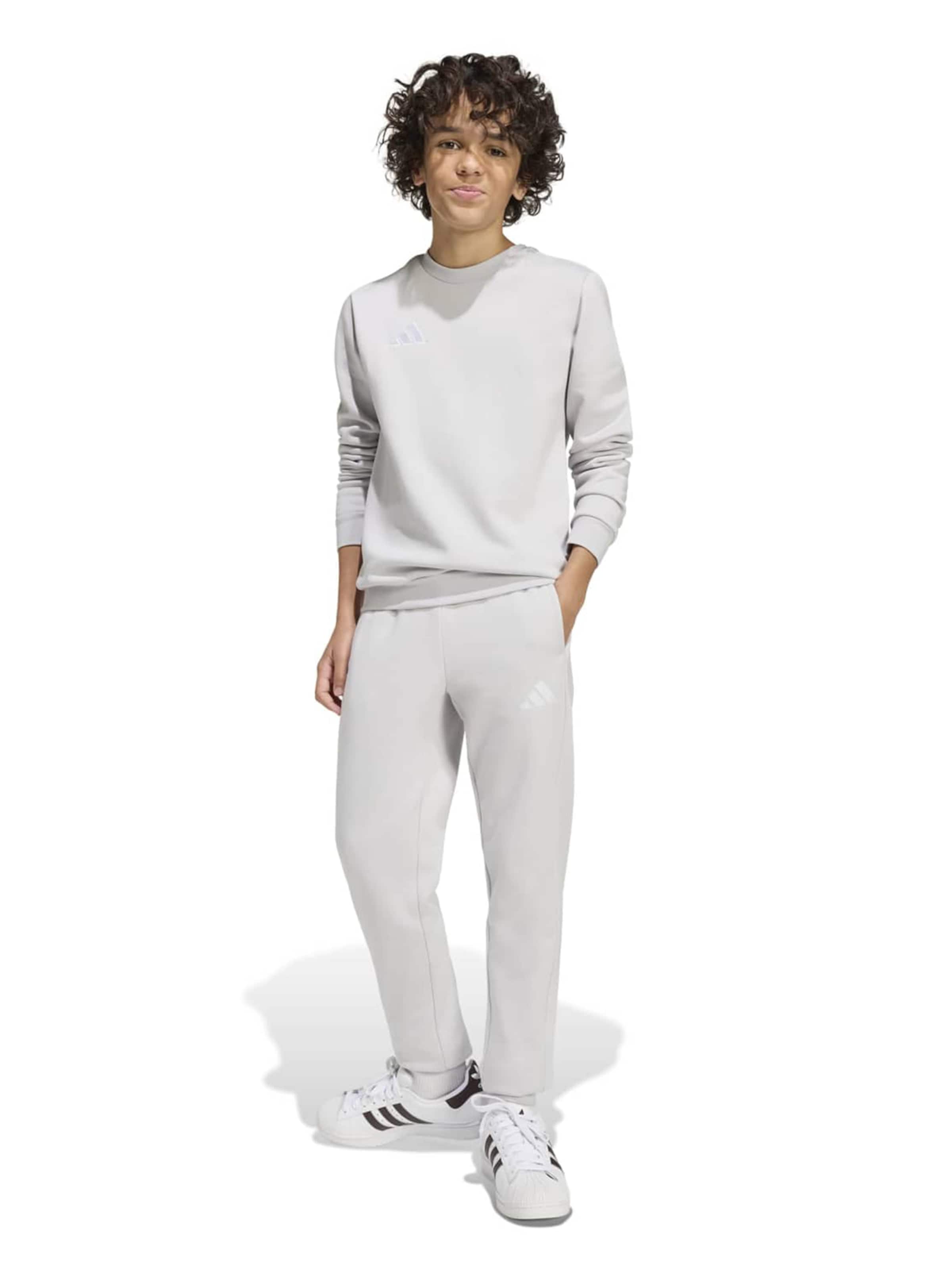 Hanorac sport 'ENT26' de la ADIDAS PERFORMANCE pe gri