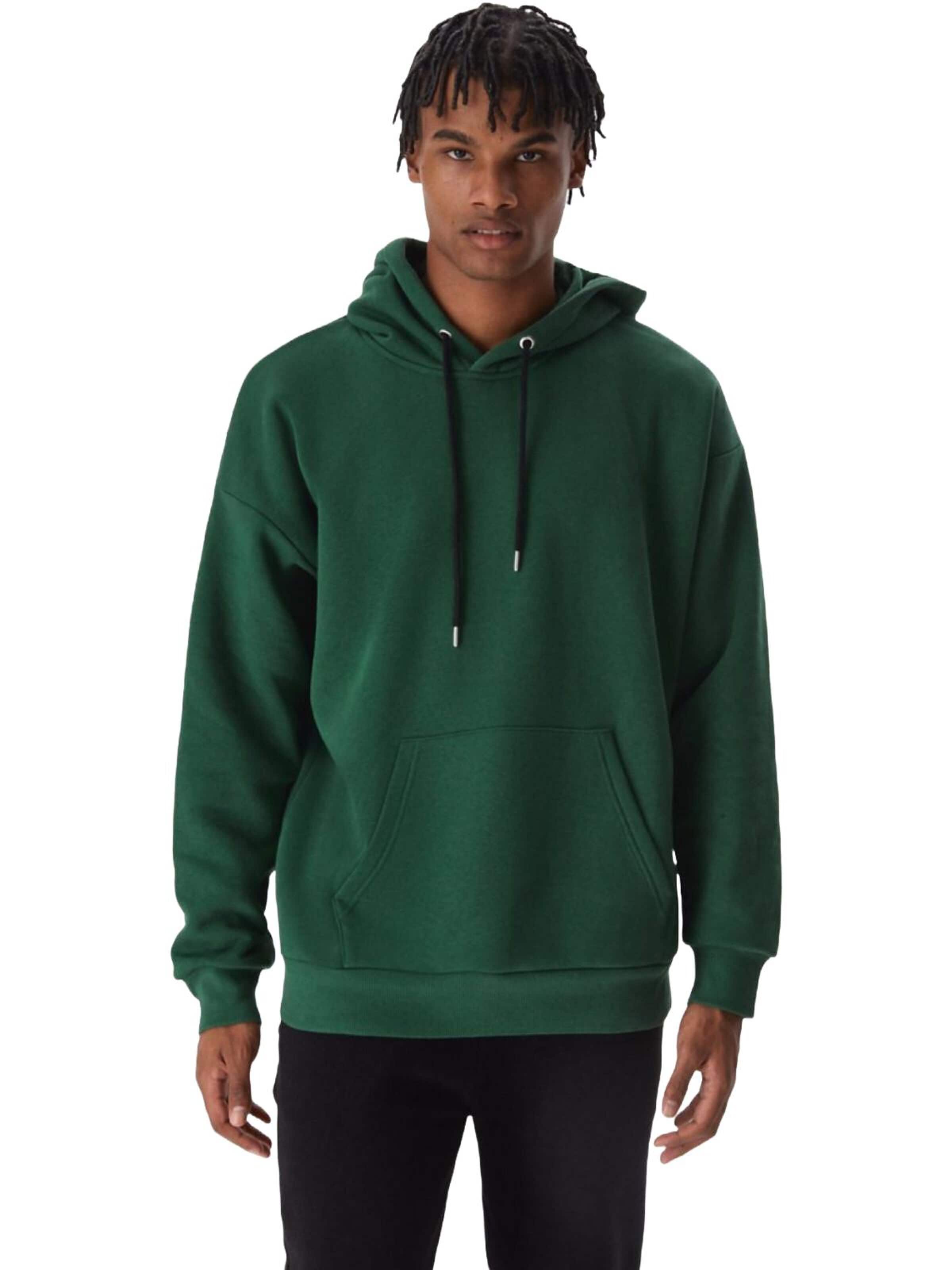 LTB Jeans Sweatshirt 'LTB Jeans Herren-Sweatshirt' in Groen: voorkant