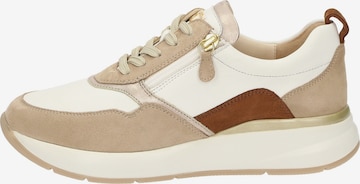 SIOUX Sneakers laag 'Segolia-705-J' in Beige