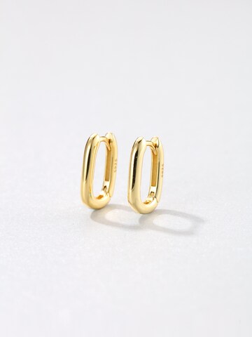 Hey Happiness Oorbel 'Oval Hoop' in Goud