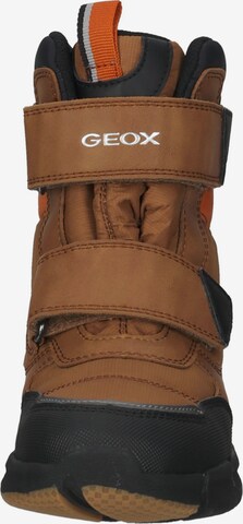 GEOX Snow boots in Brown