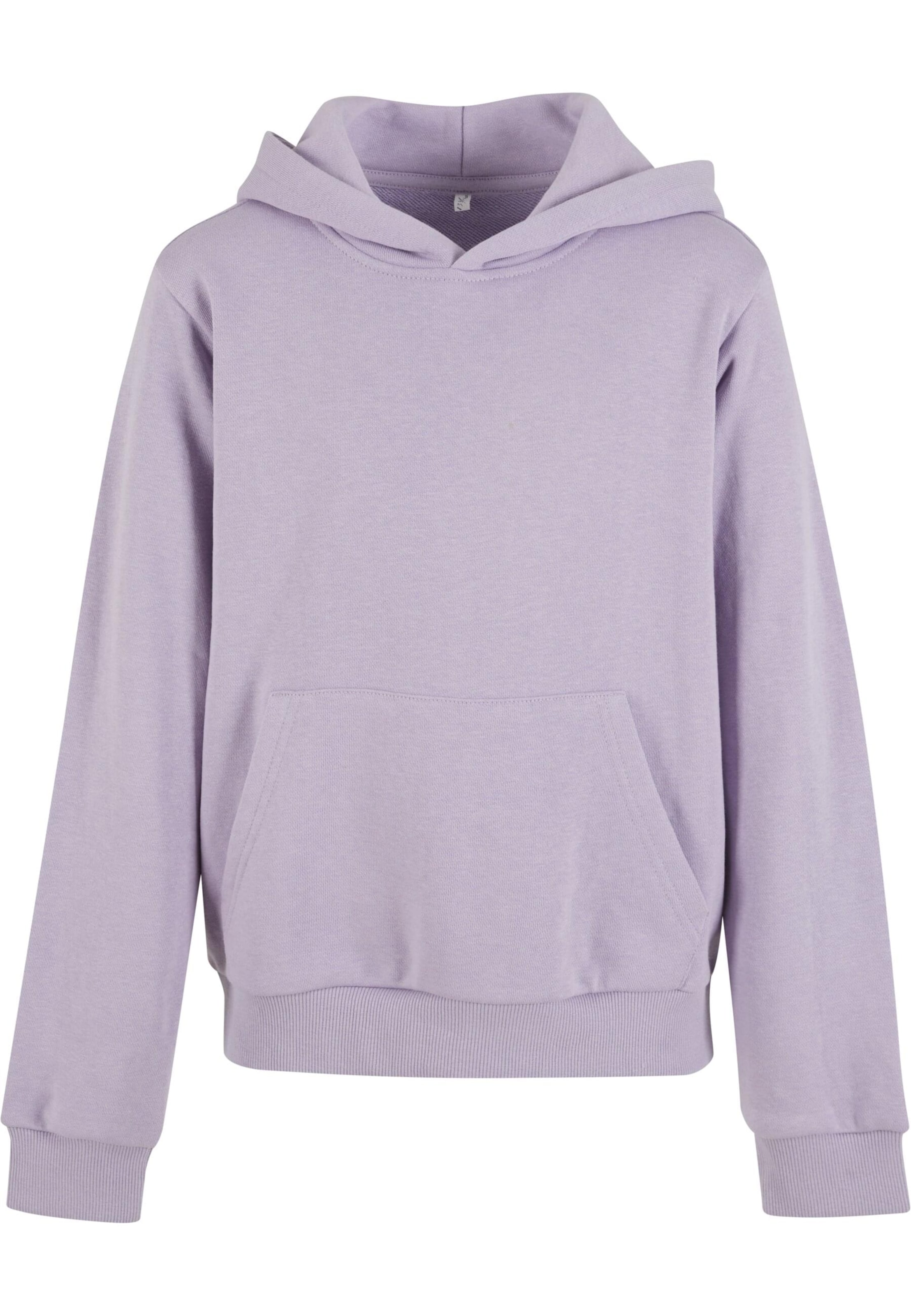 Sweat-shirt Urban Classics en violet : devant