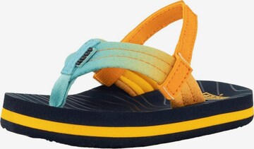 REEF Beach & Pool Shoes 'Little Ahi' in Mixed colors