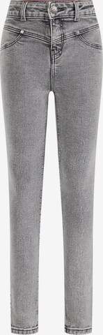 WE Fashion Skinny Jeans in Grey: front