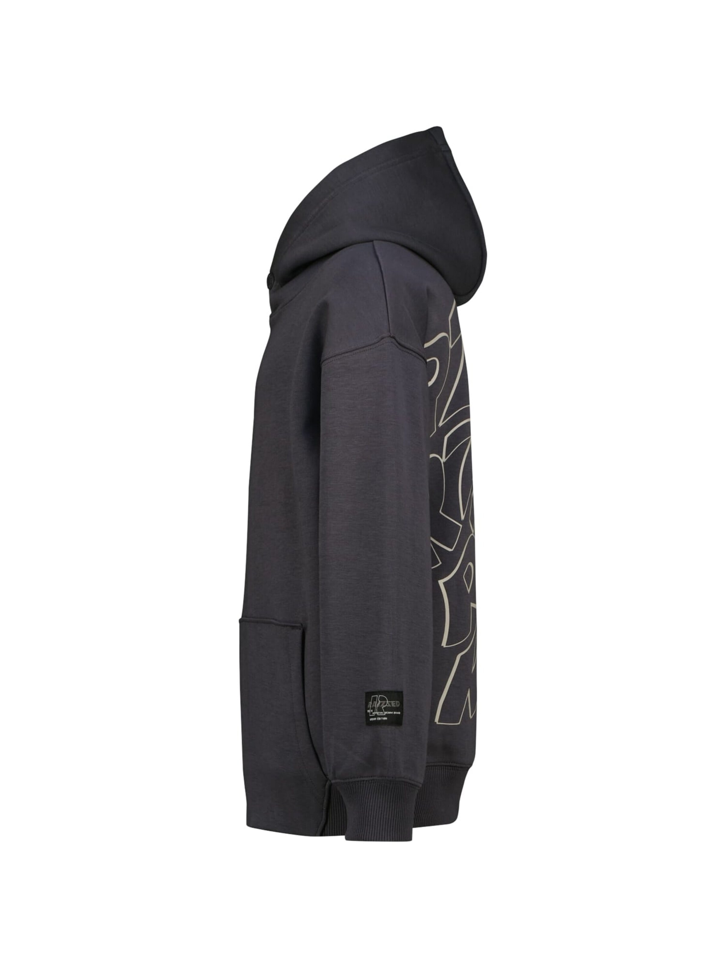 Raizzed Sweatshirt in Grijs