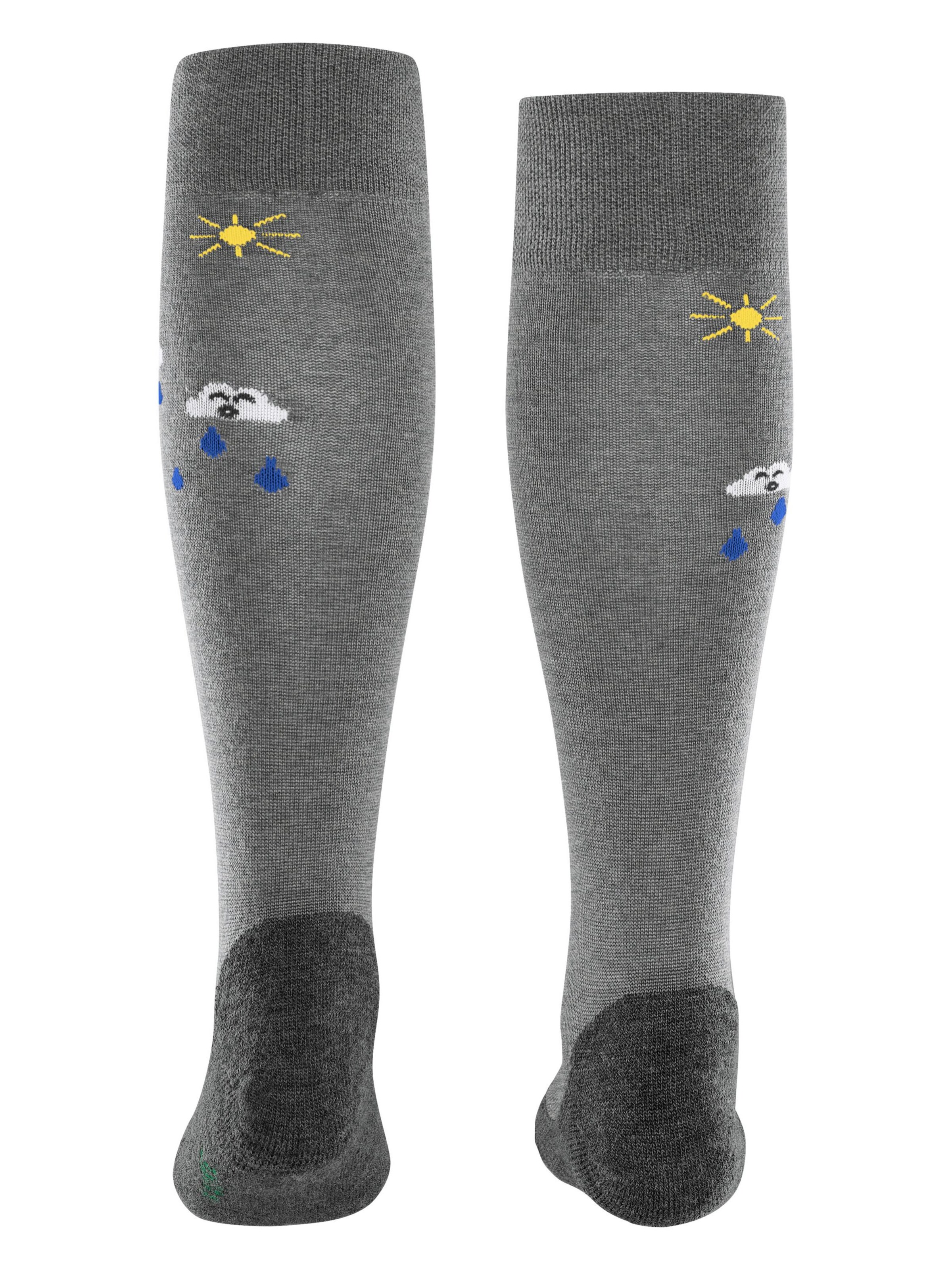 FALKE Socks 'Active Rainboot' in Grey