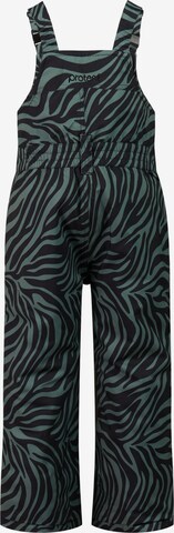 PROTEST Workout Pants 'PRTTuvai TD' in Green: front
