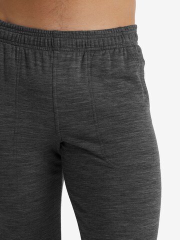 Coupe slim Pantalon outdoor ' Shifter' ICEBREAKER en gris