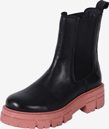 Apple of Eden Chelsea boots ' CONNY ' in Zwart: voorkant