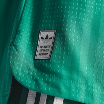 ADIDAS PERFORMANCE Tricot 'Algeria 26 Away Authentic' in Groen